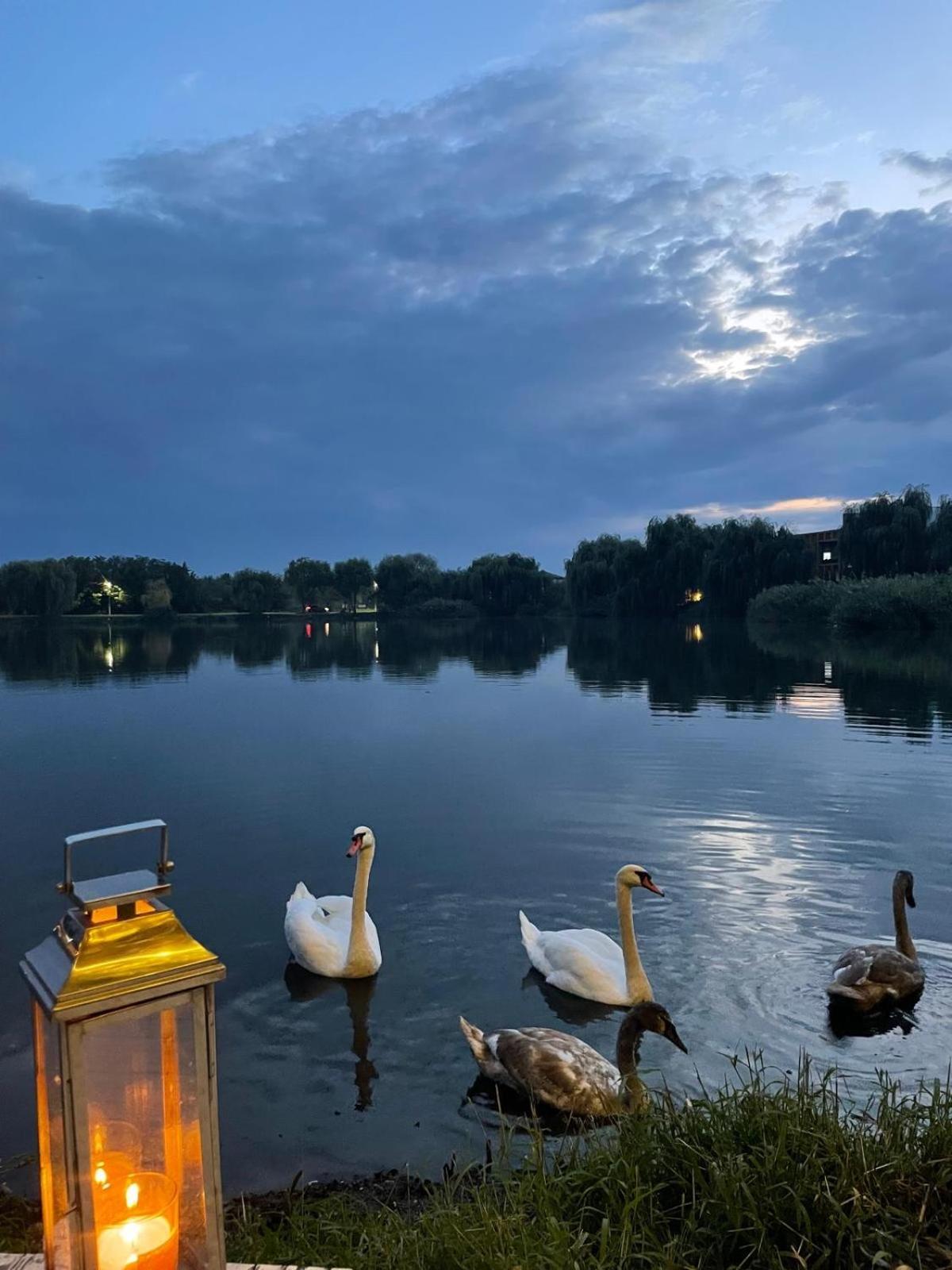 Therme - Corbeanca By The Lake Luxury Villa Eksteriør bilde